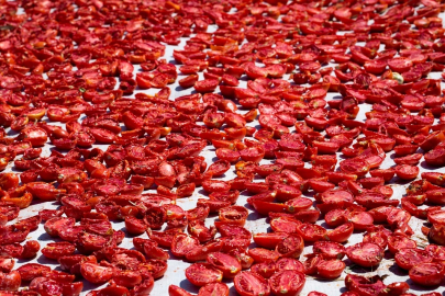 Şifa deposu kuru domates ihracatta dünya ikincisi