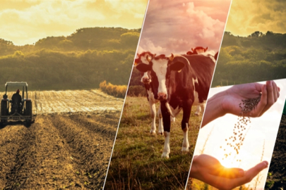 17,4 milyar TL'lik tarımsal destek çiftçilerin hesabında