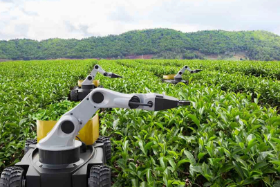 Kamu Teknoloji Platformu 2026'yı 'Kamusal Zekâ Yılı' ilan etti... Kamuda 'metal yaka' dönemi başlıyor