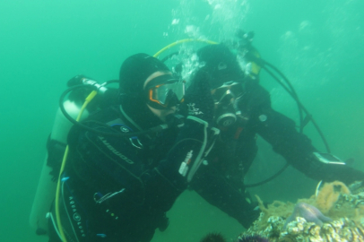 Kocaeli'de İzmit Körfezi artık nefes alıyor