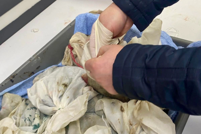 İstanbul Havalimanı’nda kaçak sülük operasyonu... 90 bin canlı tıbbi sülük ele geçirildi