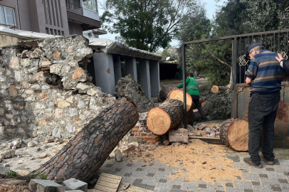 Muğla Milas'ta şiddetli fırtına sonrası anında müdahale