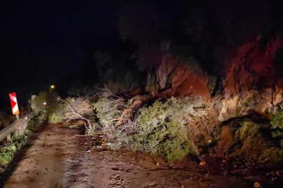 Mudanya-Kurşunlu yolunda geceyarısı heyelan! Yol ulaşıma kapandı